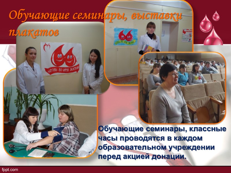 Обучающие семинары, выставки плакатов Обучающие семинары, классные часы проводятся в каждом образовательном учреждении перед